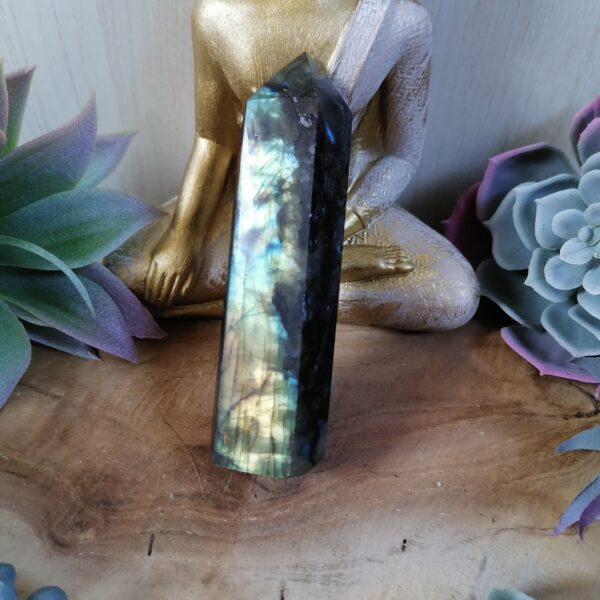 Labradorite Tour - protection, imagination