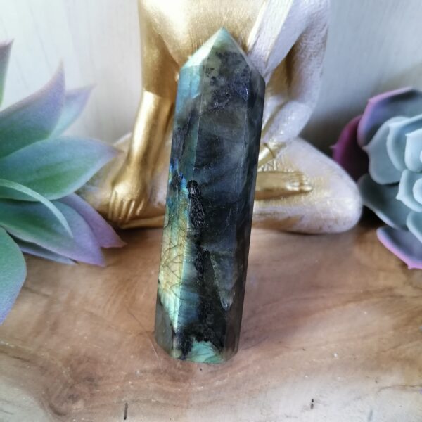 Labradorite Tour - protection, imagination – Image 2