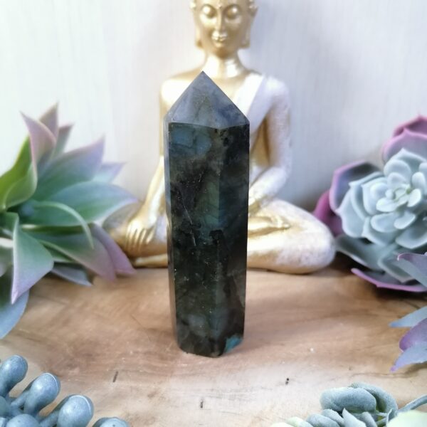 Labradorite Tour - protection, imagination – Image 3