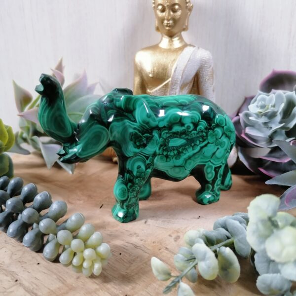 Malachite Grand éléphant- émotions, choix, confiance, connaissances – Image 2