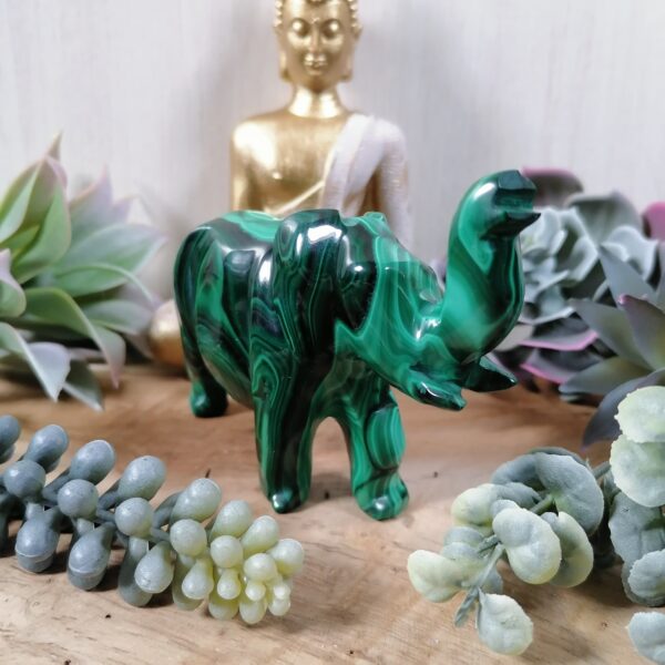 Malachite Grand éléphant- émotions, choix, confiance, connaissances – Image 3