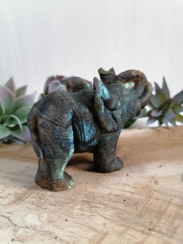 Labradorite Éléphant réaliste - protection, intuition, créativité – Image 4