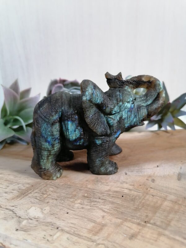 Labradorite Éléphant réaliste - protection, intuition, créativité – Image 5