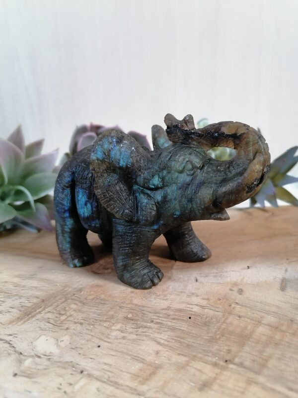 Labradorite Éléphant réaliste - protection, intuition, créativité – Image 6