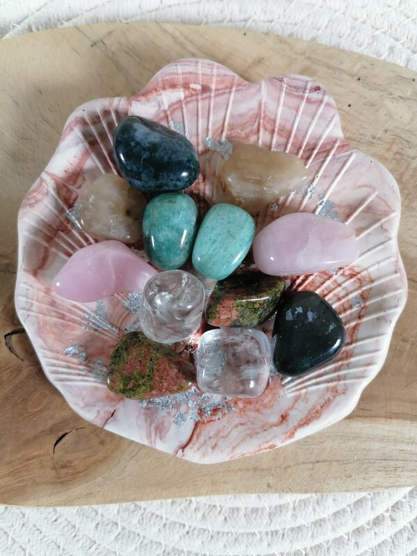 Coquillage jesmonite divers version – Image 2