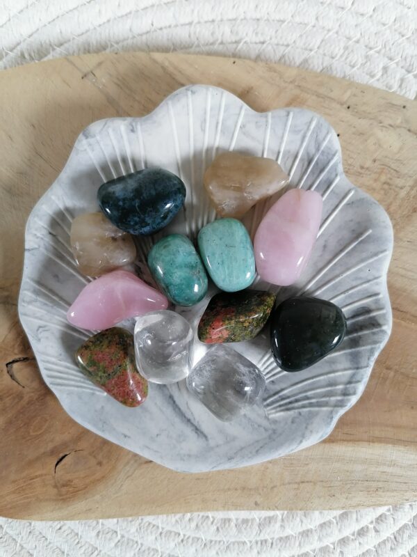 Coquillage jesmonite divers version – Image 6